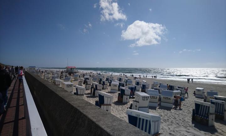 Gosch am Strand