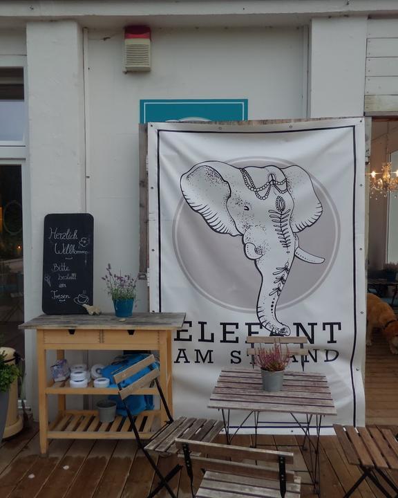 Elefant am Strand